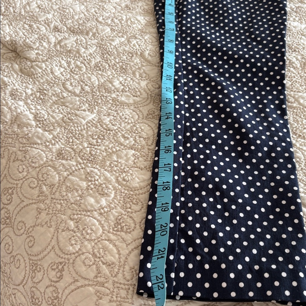 JULES & LEOPOLD Navy Polka Dot Pants - Picture 13 of 15